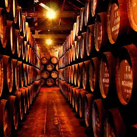 Apartment Casa De Salgueiros *