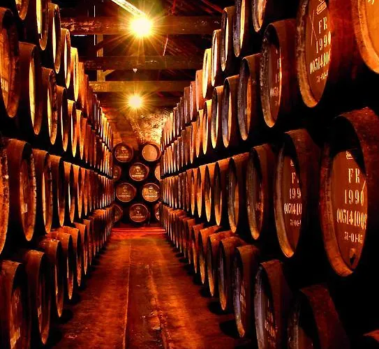 Apartment Casa De Salgueiros *